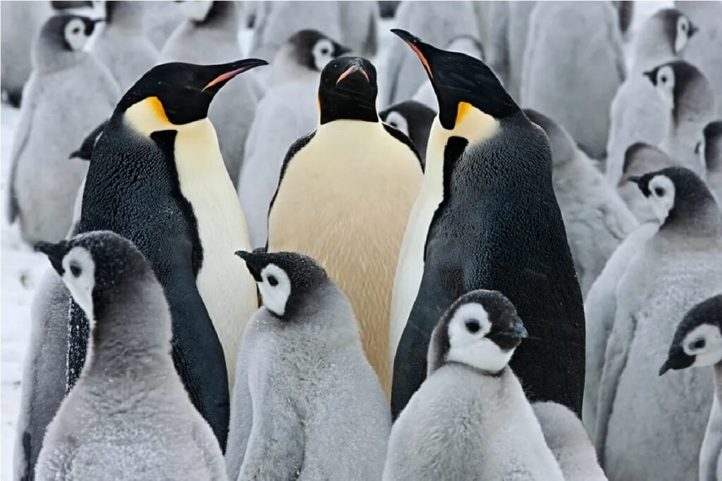 Dieses Bild hat ein leeres Alt-Attribut. Der Dateiname ist front4-1-1024x683.jpg